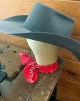 Bandana - Red - Lowercase Initials